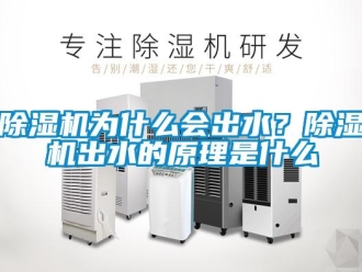 企業(yè)新聞除濕機(jī)為什么會(huì)出水？除濕機(jī)出水的原理是什么