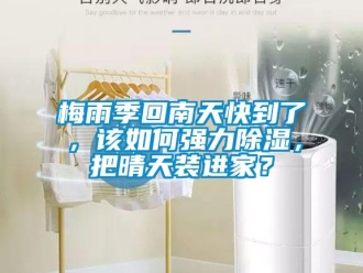 常見問題梅雨季回南天快到了，該如何強力除濕，把晴天裝進家？