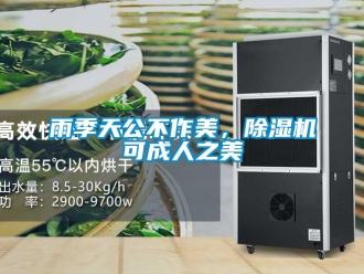 知識(shí)百科雨季天公不作美，除濕機(jī)可成人之美