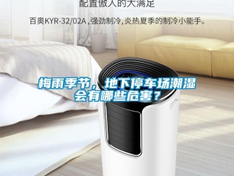 行業(yè)新聞梅雨季節(jié)，地下停車場潮濕會有哪些危害？