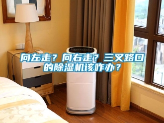 知識百科向左走？向右走？三叉路口的除濕機(jī)該咋辦？
