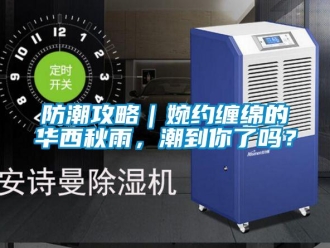 常見問題防潮攻略｜婉約纏綿的華西秋雨，潮到你了嗎？