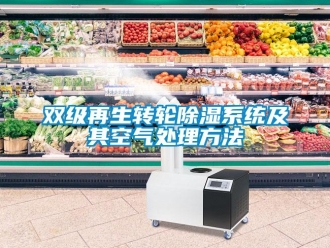 行業(yè)新聞雙級再生轉(zhuǎn)輪除濕系統(tǒng)及其空氣處理方法