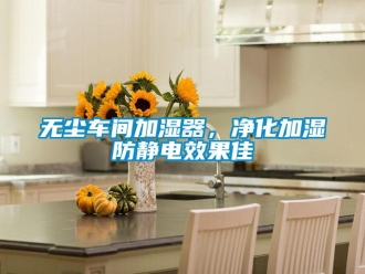 知識(shí)百科無塵車間加濕器，凈化加濕防靜電效果佳