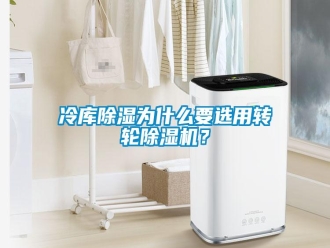 行業(yè)新聞冷庫除濕為什么要選用轉(zhuǎn)輪除濕機(jī)？