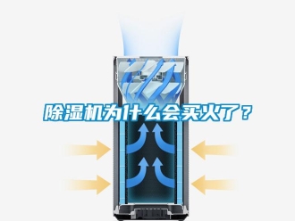 企業(yè)新聞除濕機(jī)為什么會(huì)買火了？