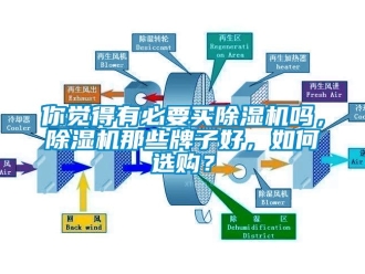 行業(yè)新聞你覺(jué)得有必要買(mǎi)除濕機(jī)嗎，除濕機(jī)那些牌子好，如何選購(gòu)？