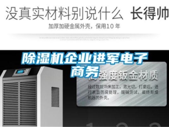 常見問題除濕機(jī)企業(yè)進(jìn)軍電子商務(wù)