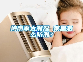常見問題梅雨季太潮濕 家里怎么防潮？