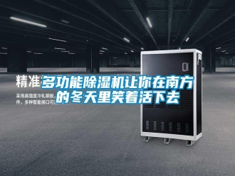 企業(yè)新聞多功能除濕機(jī)讓你在南方的冬天里笑著活下去