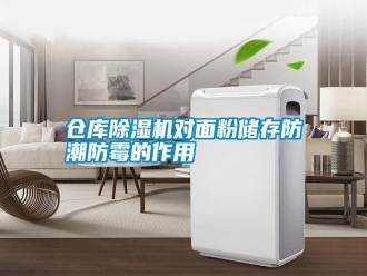 企業(yè)新聞倉庫除濕機(jī)對面粉儲(chǔ)存防潮防霉的作用