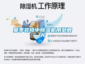知識(shí)百科夏季裝修中除濕機(jī)用處很大