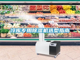 行業(yè)新聞冷庫專用除濕機選型指南