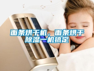 行業(yè)新聞面條烘干機(jī)，面條烘干除濕一機(jī)搞定