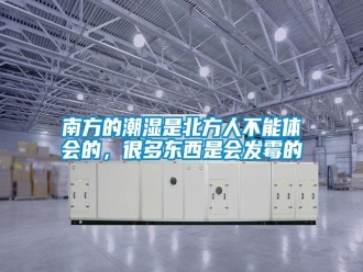 行業(yè)新聞南方的潮濕是北方人不能體會的，很多東西是會發(fā)霉的
