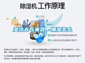常見問題濕冷天氣來襲，潮濕怎么辦？