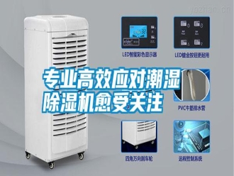 知識百科專業(yè)高效應(yīng)對潮濕 除濕機(jī)愈受關(guān)注