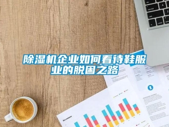 常見(jiàn)問(wèn)題除濕機(jī)企業(yè)如何看待鞋服業(yè)的脫困之路