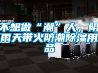 企業(yè)新聞不想做“潮”人，陰雨天帶火防潮除濕用品