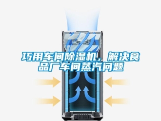 常見問題巧用車間除濕機，解決食品廠車間蒸汽問題
