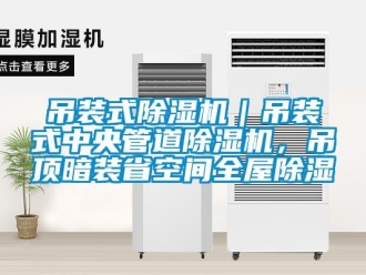 行業(yè)新聞吊裝式除濕機｜吊裝式中央管道除濕機，吊頂暗裝省空間全屋除濕