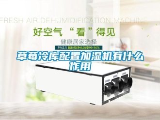 企業(yè)新聞草莓冷庫配置加濕機(jī)有什么作用