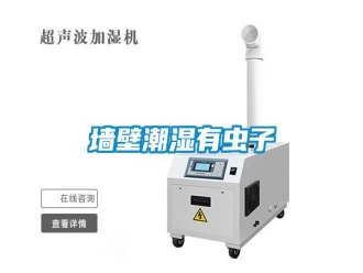 行業(yè)新聞墻壁潮濕有蟲子