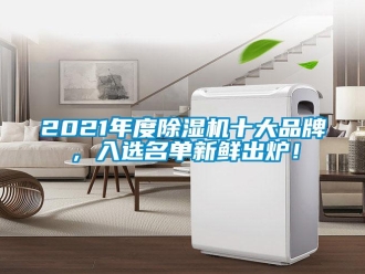 企業(yè)新聞2021年度除濕機(jī)十大品牌，入選名單新鮮出爐！