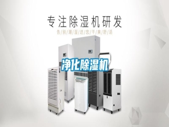 行業(yè)新聞凈化除濕機