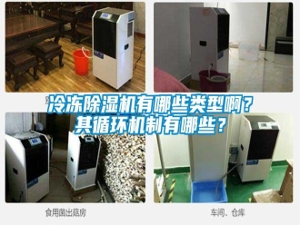 行業(yè)新聞冷凍除濕機有哪些類型??？其循環(huán)機制有哪些？