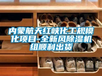 行業(yè)新聞內(nèi)蒙航天紅峽化工規(guī)模化項目-全新風除濕機組順利出貨