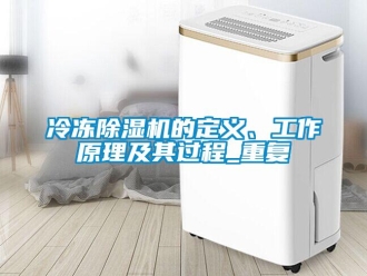 行業(yè)新聞冷凍除濕機(jī)的定義、工作原理及其過程_重復(fù)