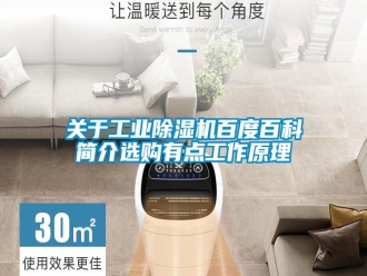 企業(yè)新聞關(guān)于工業(yè)除濕機百度百科簡介選購有點工作原理