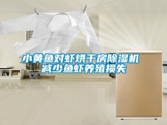 知識(shí)百科小黃魚對(duì)蝦烘干房除濕機(jī) 減少魚蝦養(yǎng)殖損失