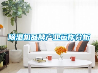 常見問題除濕機(jī)品牌產(chǎn)業(yè)運(yùn)作分析