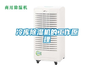 行業(yè)新聞冷庫除濕機(jī)的工作原理