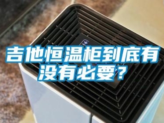 知識百科吉他恒溫柜到底有沒有必要？