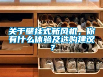 企業(yè)新聞關于壁掛式新風機，你有什么體驗及選購建議？