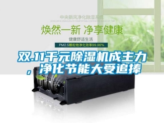 行業(yè)新聞雙.11千元除濕機成主力，凈化節(jié)能大受追捧