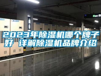 企業(yè)新聞2023年除濕機哪個牌子好 詳解除濕機品牌介紹