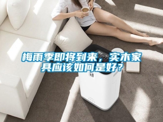 常見問題梅雨季即將到來，實木家具應(yīng)該如何是好？