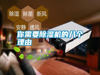 行業(yè)新聞你需要除濕機(jī)的八個(gè)理由