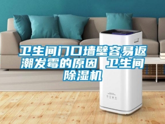 行業(yè)新聞衛(wèi)生間門口墻壁容易返潮發(fā)霉的原因 衛(wèi)生間除濕機