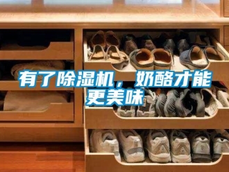 知識百科有了除濕機(jī)，奶酪才能更美味