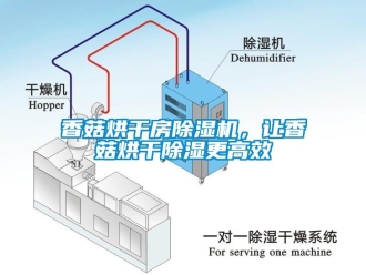 知識(shí)百科香菇烘干房除濕機(jī)，讓香菇烘干除濕更高效