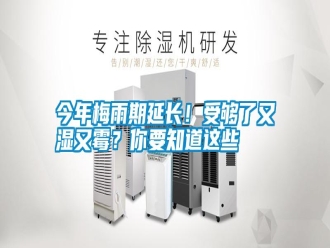 行業(yè)新聞今年梅雨期延長(zhǎng)！受夠了又濕又霉？你要知道這些