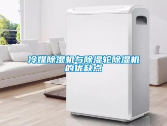 行業(yè)新聞冷媒除濕機與除濕輪除濕機的優(yōu)缺點