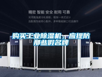 企業(yè)新聞購(gòu)買工業(yè)除濕機(jī)，應(yīng)提防那些假名牌