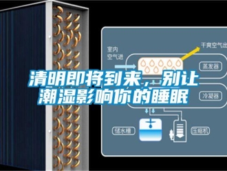 行業(yè)新聞清明即將到來(lái)，別讓潮濕影響你的睡眠