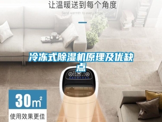行業(yè)新聞冷凍式除濕機(jī)原理及優(yōu)缺點(diǎn)